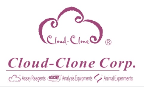 云克隆(CLOUDCLONE)