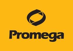 普洛麦格(promega)